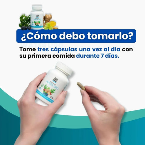 WATER LIPO - REDUCTOR NATURAL