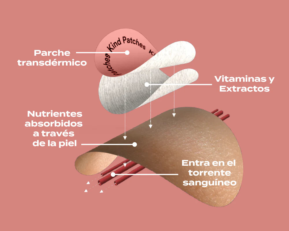 Recuperá la saciedad